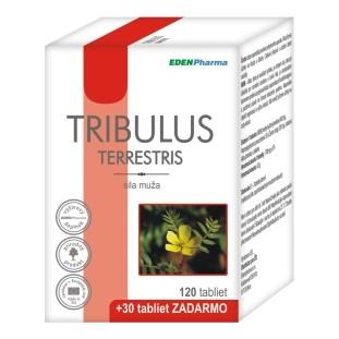 Tribulus Terrestris 120+30tbl