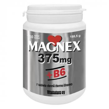 Magnex 375mg + B6 180tbl