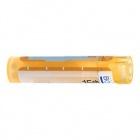 Phosphorus 30ch homeopatika Phosphorus 30ch homeopatika