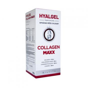 Hyalgel Collagen MAXX 500ml