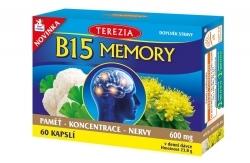 B15 memory