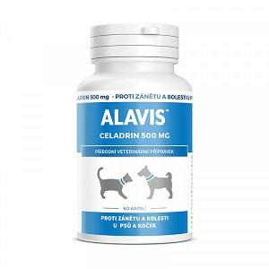 Alavis CELADRIN 500mg pre psy a mačky 60 kapsúl