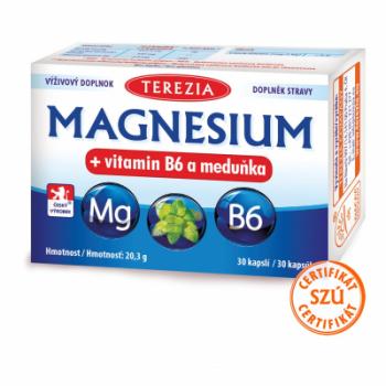 MAGNESIUM+vitamin B6 a medovka 30 kapsúl