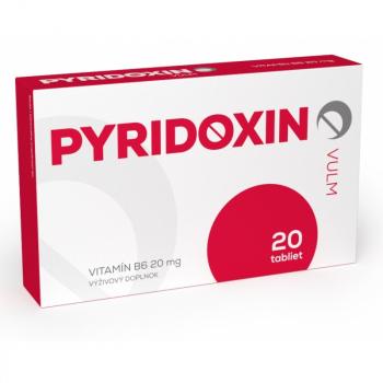 PYRIDOXIN vitamín B6 20tbl