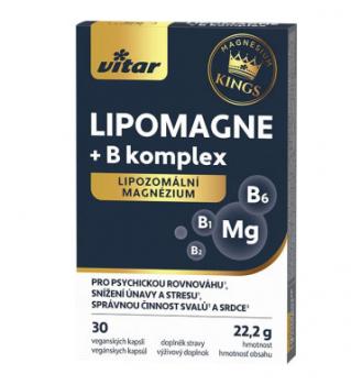 Vitar Kings LIPOMAGNE + B komplex lipozomálne magnézium 30ks