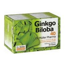 Ginkgo Biloba 40mg kapsuly 60ks