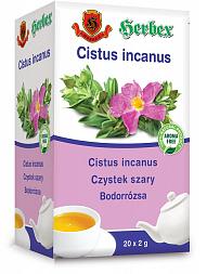 Cistus incanus porcovaný čaj 20x2g