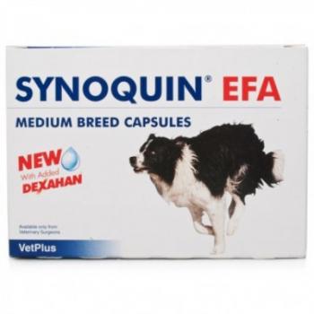 SYNOQUIN EFA Medium tablety pre psy  30x1,5g