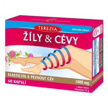 zily a cievy terezia company