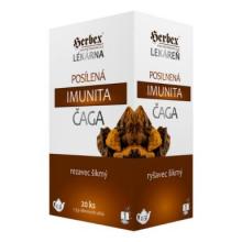 HERBEX Lekáreň posilnená imunita čaga nálevové vrecúška 20x3 g