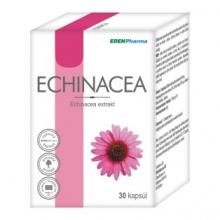 Echinacea 30kps